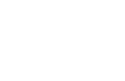 Fybcamis